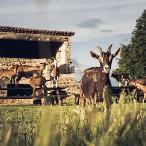 Le Domaine Du Castellas Maison d'hôtes