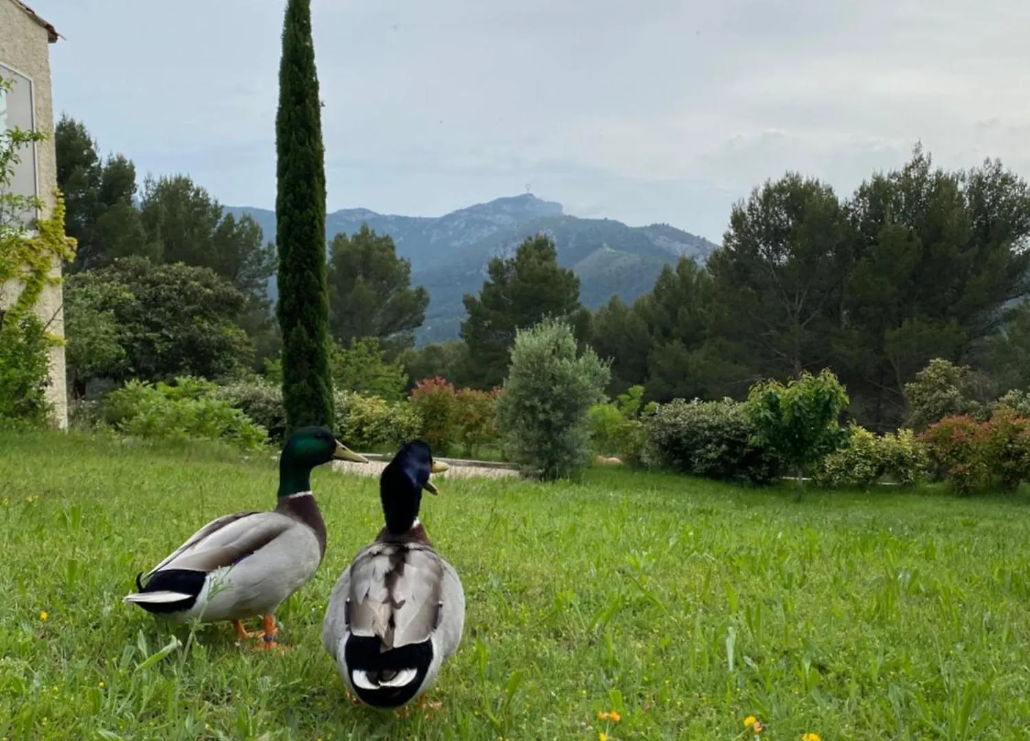 Bed & Breakfast La Maison Perchee Auriol
